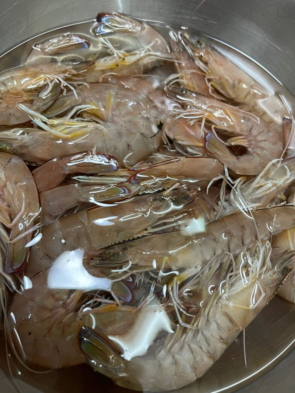 活虾鲜虾的保存 新鲜海虾(未冰冻过),活虾买回来,买多了一顿吃不完