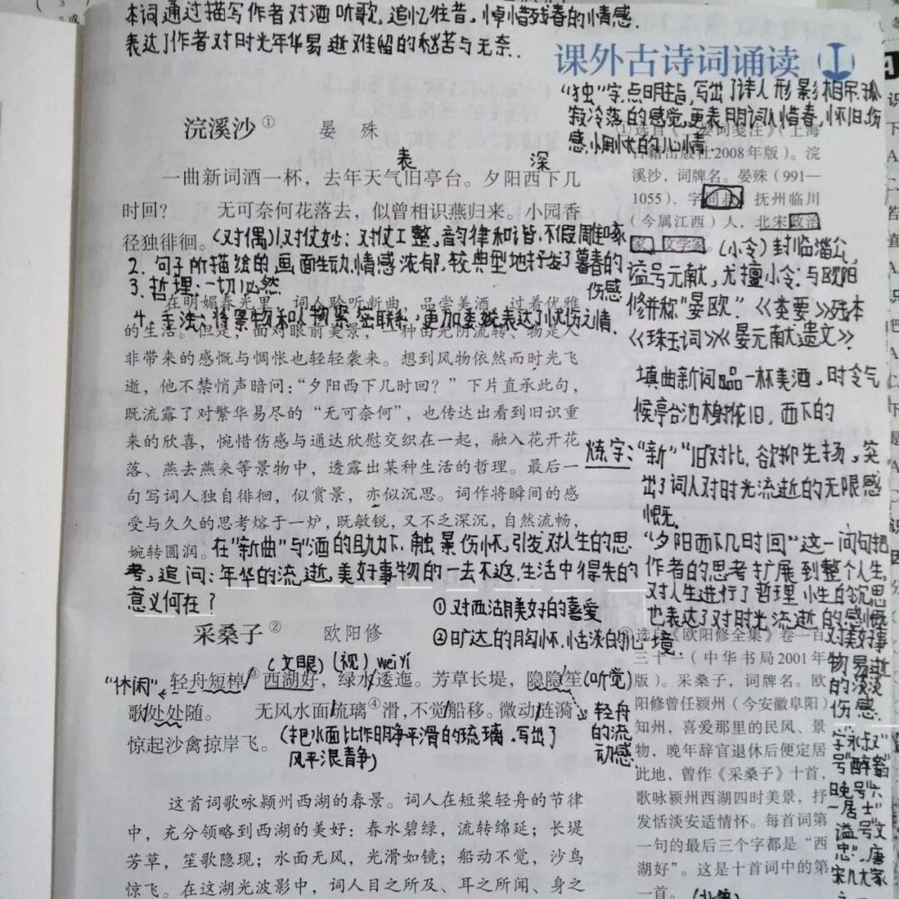 八/上《浣溪沙》《采桑子》 语文古诗词