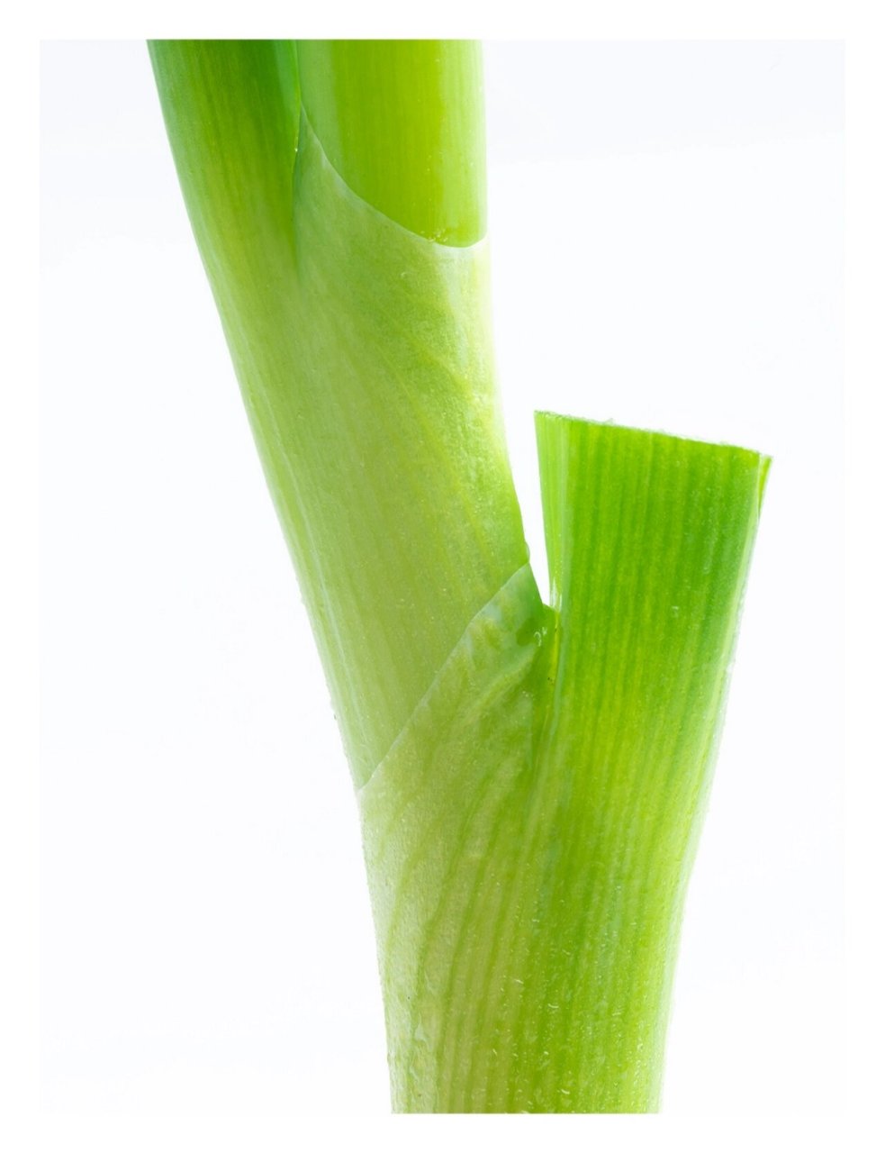 静物摄影丨这样拍的大葱画面丰富多彩 一直喜欢大葱的白和绿 有种静谧