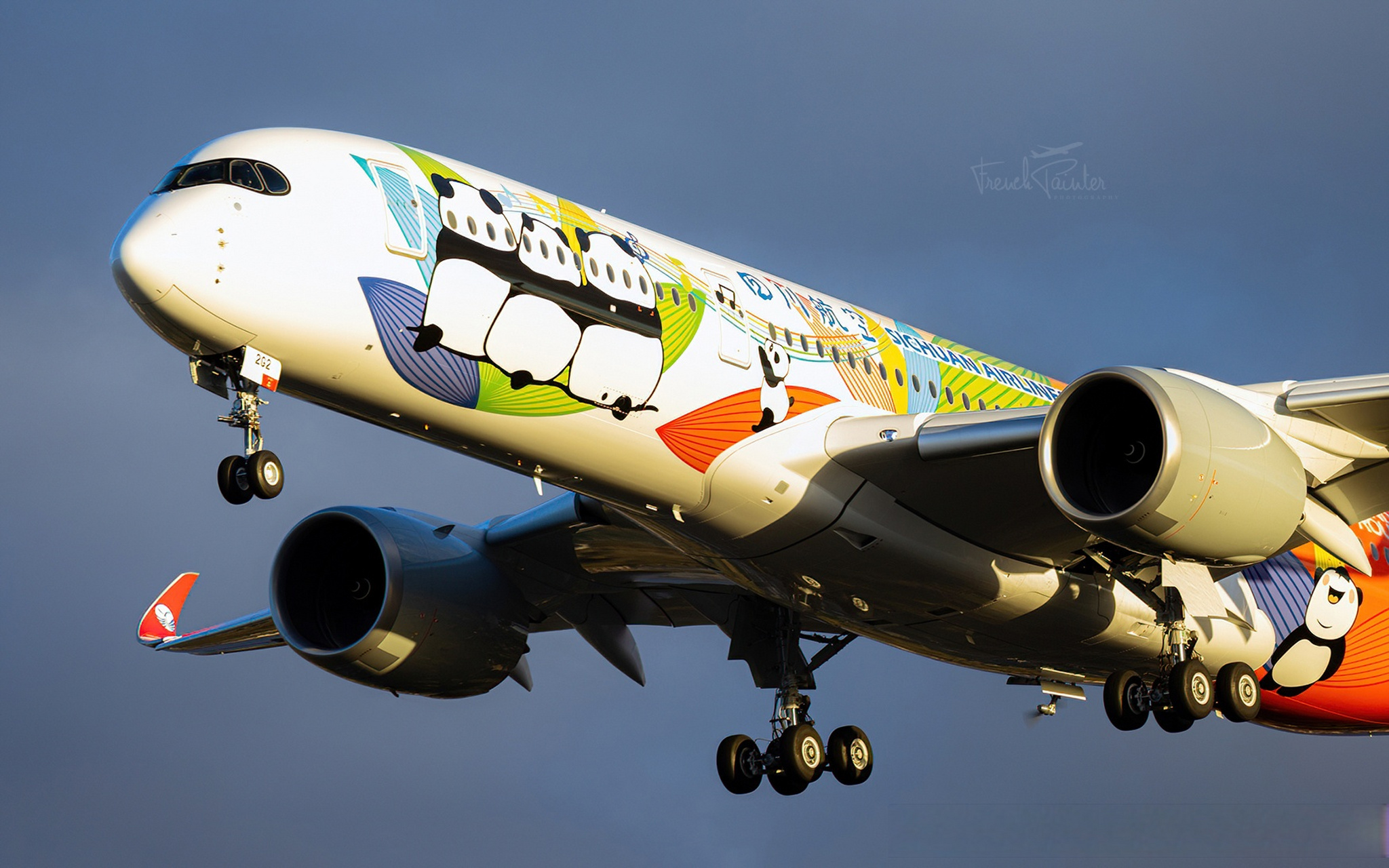 四川航空熊猫涂装a350在图卢茨试飞,作者frenchpainter spotting