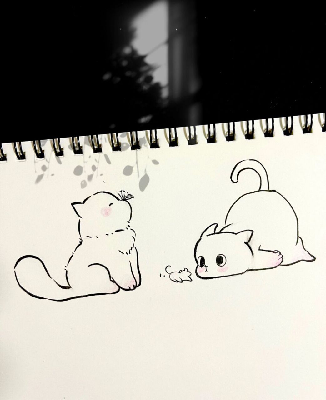 敲可爱猫咪简笔画|被可爱治愈了|内附细节 想做你枕边书,怀中猫,心上