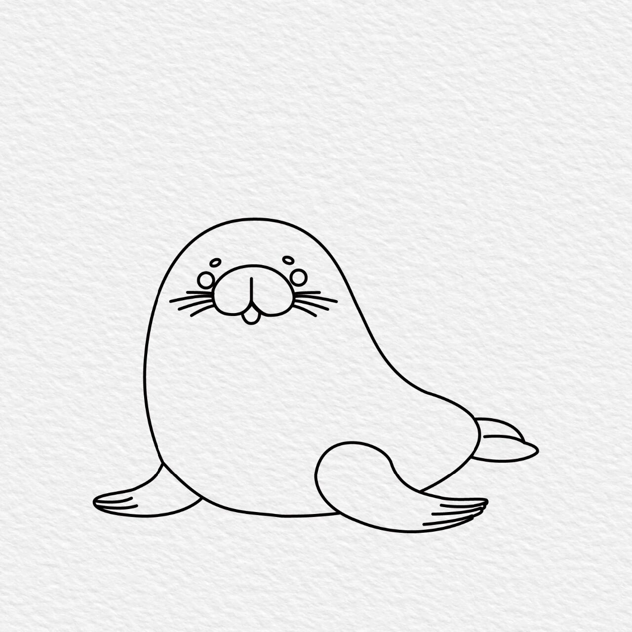 萌萌哒动物系列—海豹简笔画