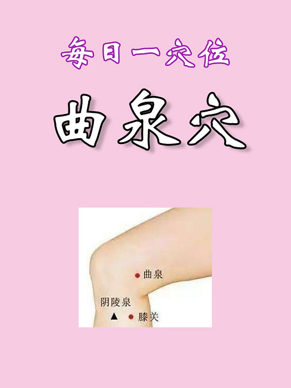每日一穴位(八)曲泉穴 【定位】在膝内侧,屈膝,当膝关节内侧端,股骨