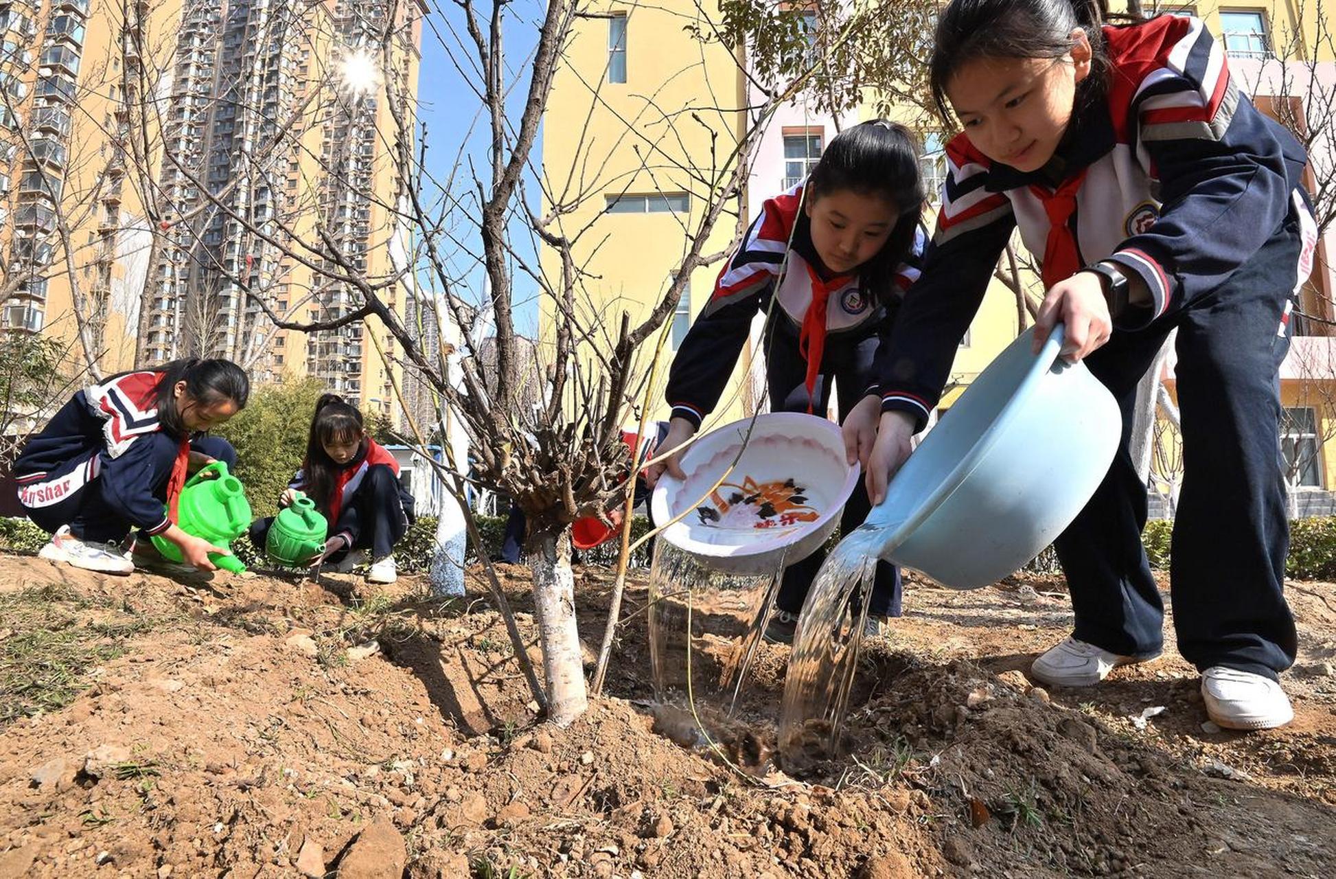 赵王小学图片