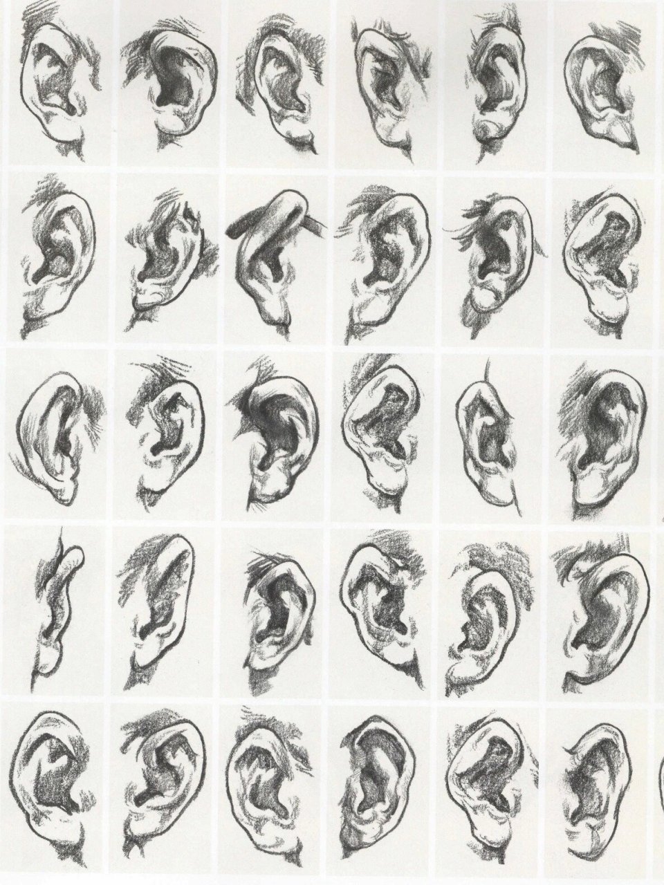 画好速写必练习五官单体 希望你可以学会