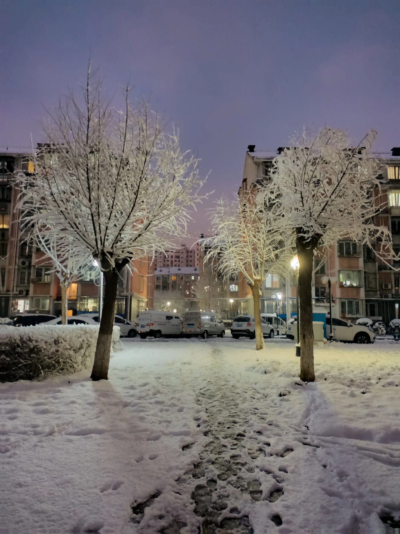 别墅下雪图片夜景图片