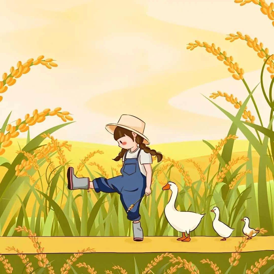 好喜欢这种风格,看着好轻松好舒心