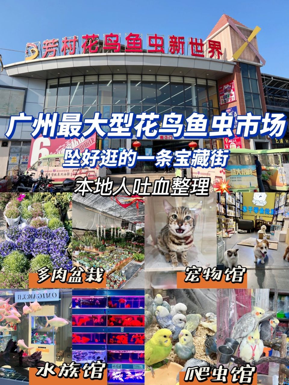 广州拍照|广州最大花鸟鱼虫市场 老广最熟悉的花鸟鱼虫市场去年搬到