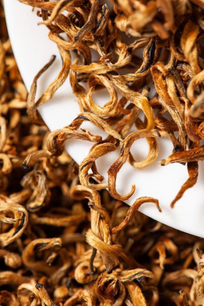 爆款滇红——2023年【蜜香金芽】 条索紧结,金豪满披 汤色橙黄透亮,叶