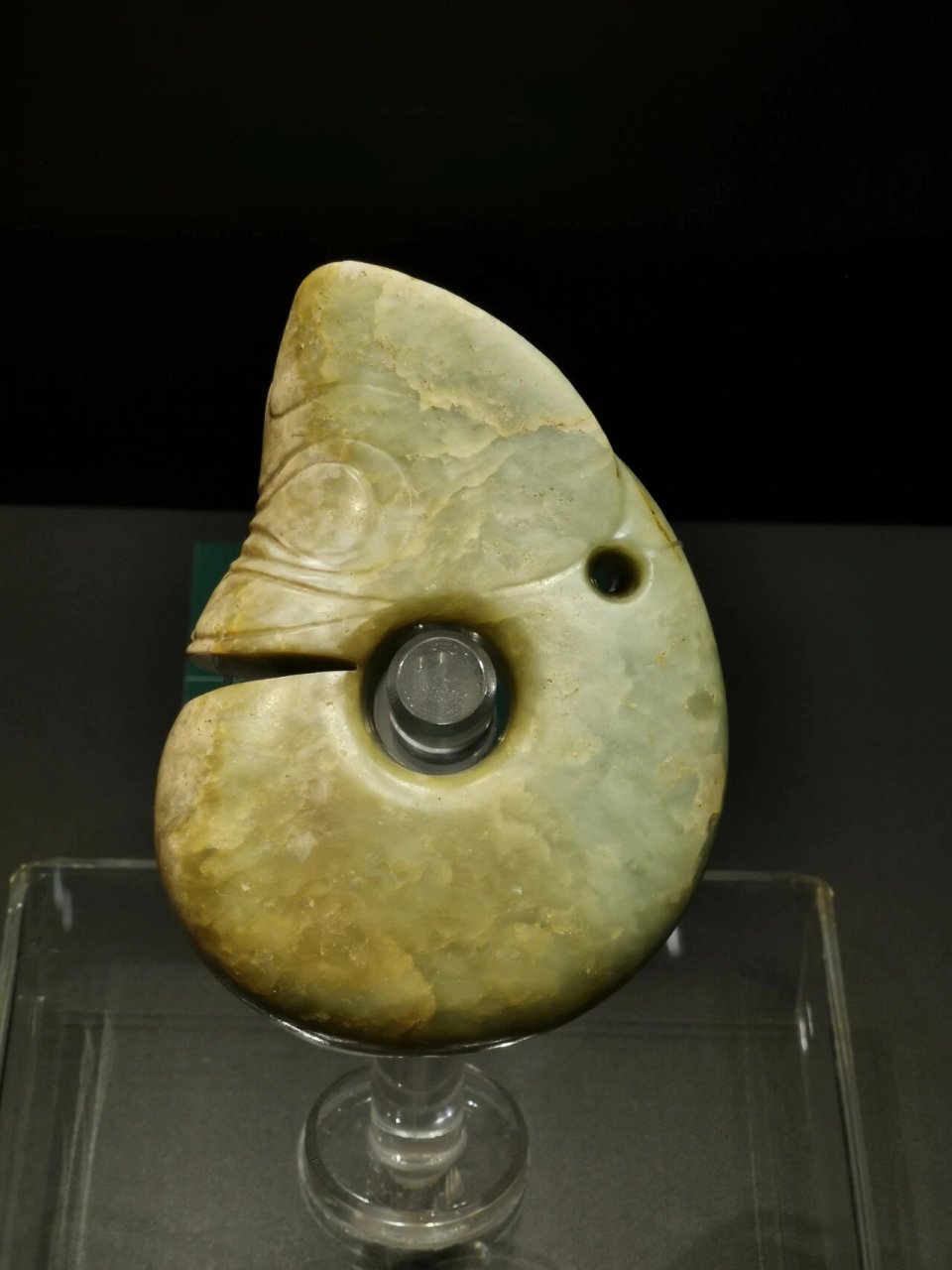 我是祖宗. 红山玉猪龙 辽宁省博物馆 我们都是龙的传人,但龙从哪来?