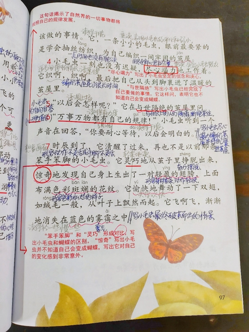 二年级下册语文 第22课《小毛虫》课堂笔记 持续更新中…… 关99