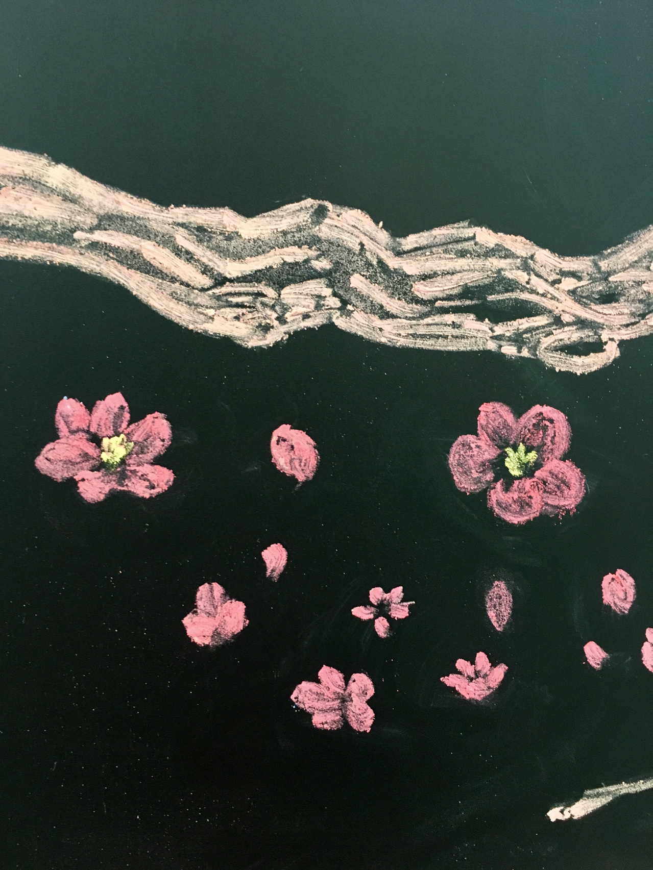 新手小白 粉笔画黑板报素材练习-day57 很多姐妹问梅花的画法,录了