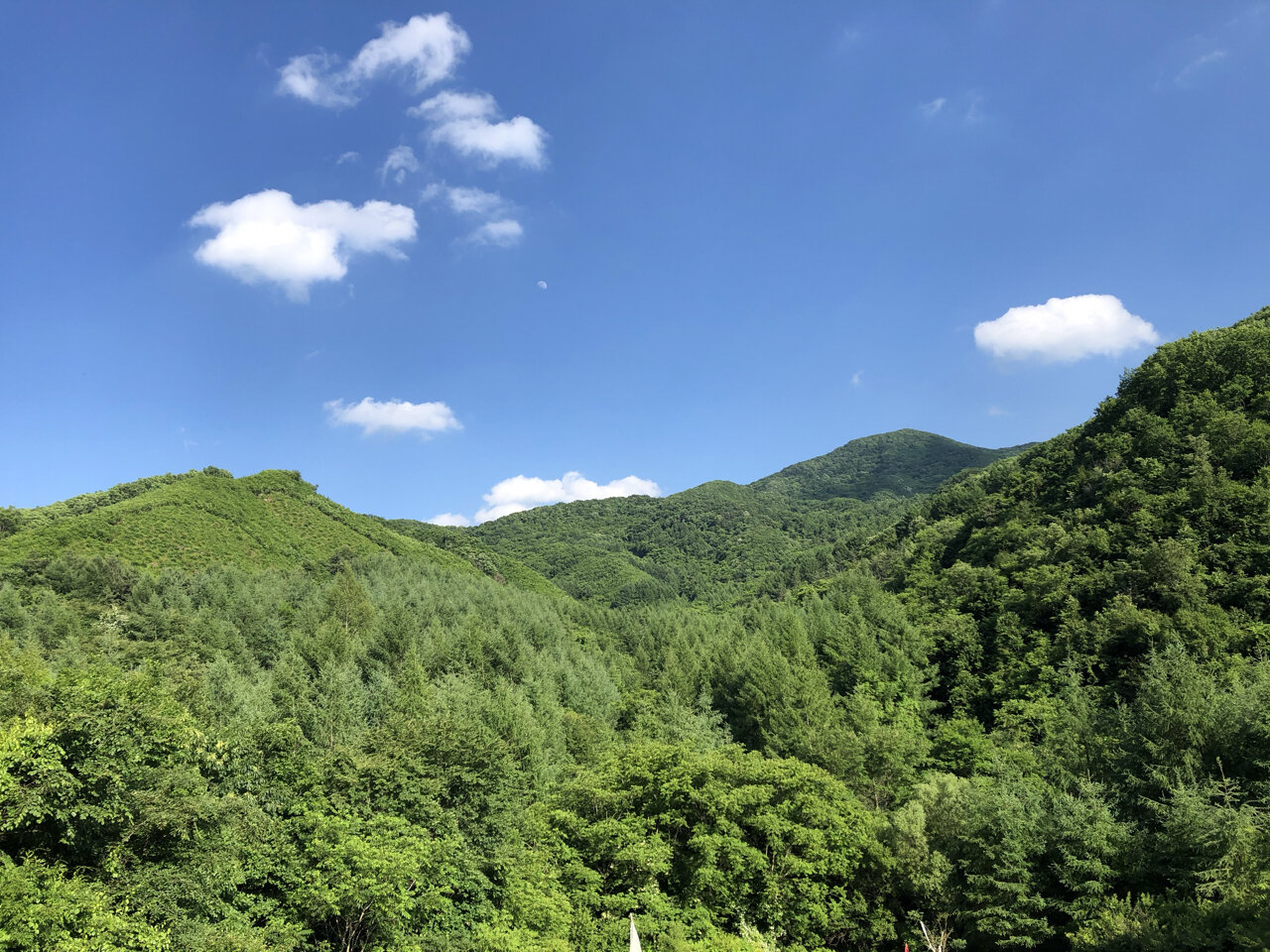 辽阳暴马川风景区门票图片