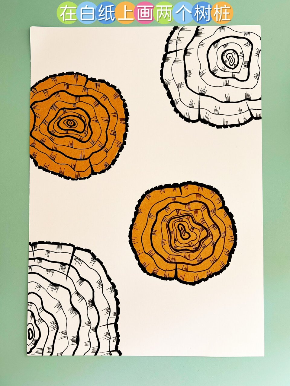 儿童创意美术《年轮》 准备一张a4纸,画一幅大树的年轮创意画吧,适合