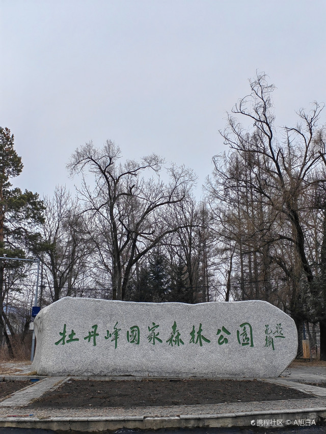 游牡丹峰国家森林公园欣赏冰凌花的风采