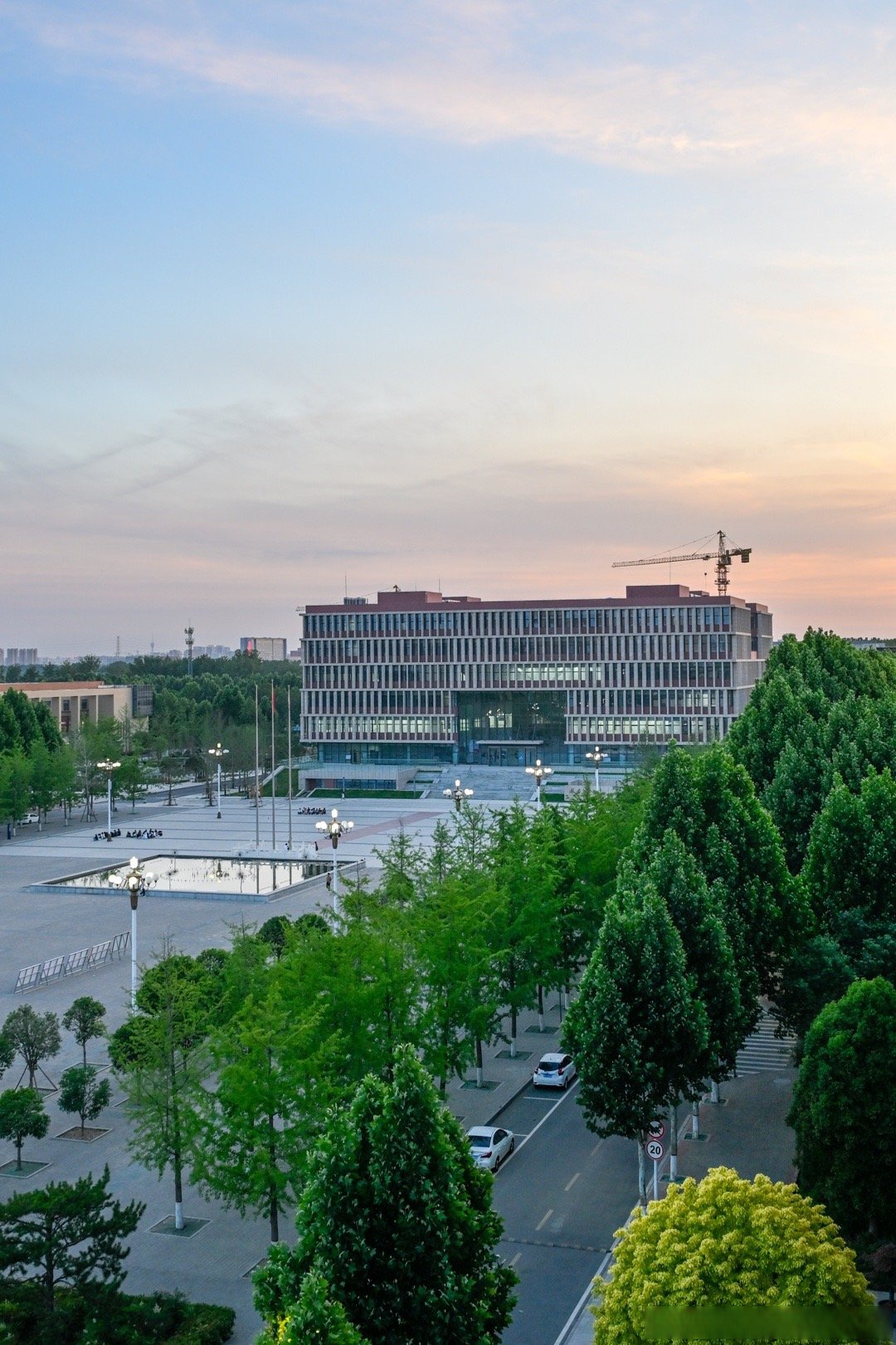 携手十一载,"微"光照前路