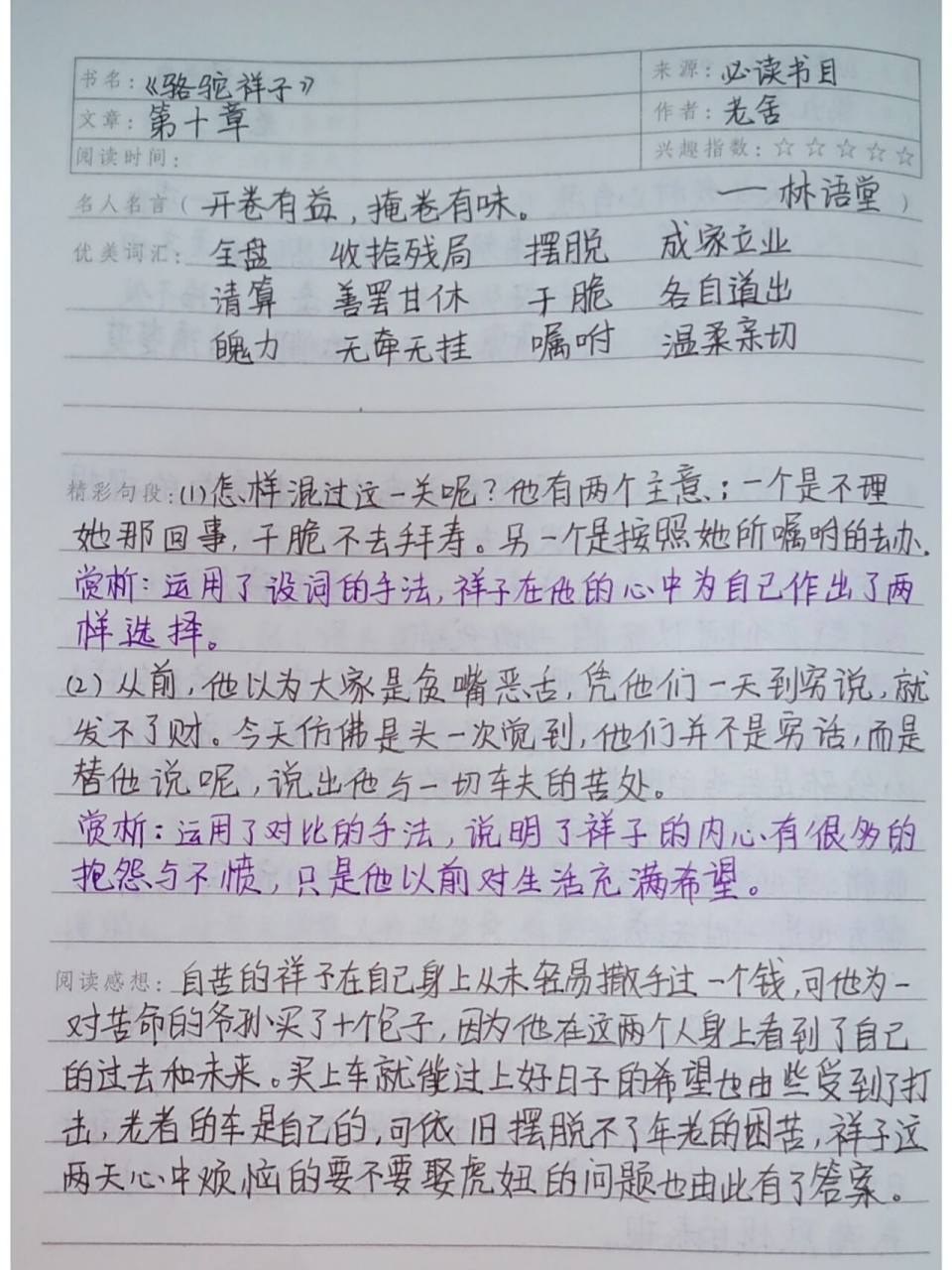 《骆驼祥子》读书笔记 ----第十章 《骆驼祥子》读书笔记 ----第十章