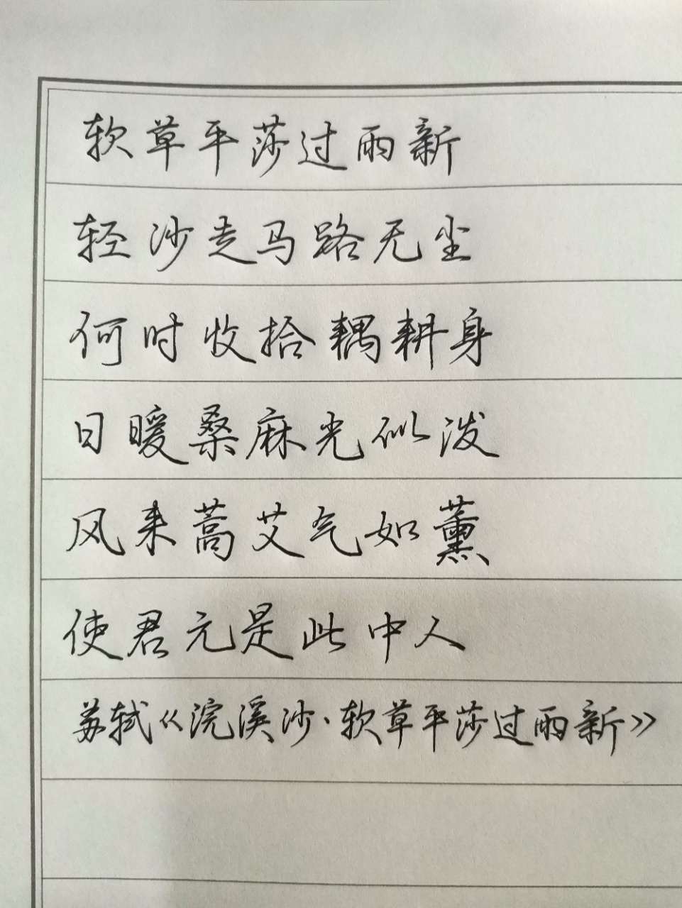 中性笔抄诗 苏轼《浣溪沙61软草平莎过雨新》 #每天练字打卡