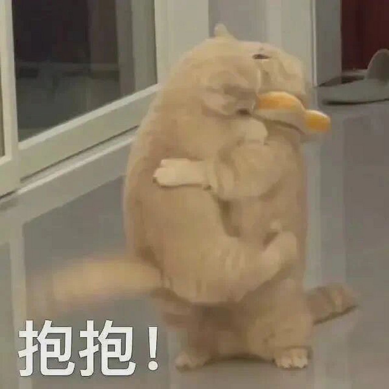 又可爱又撩人的表情包 拿下男朋友的表情包 可爱又撩人必备
