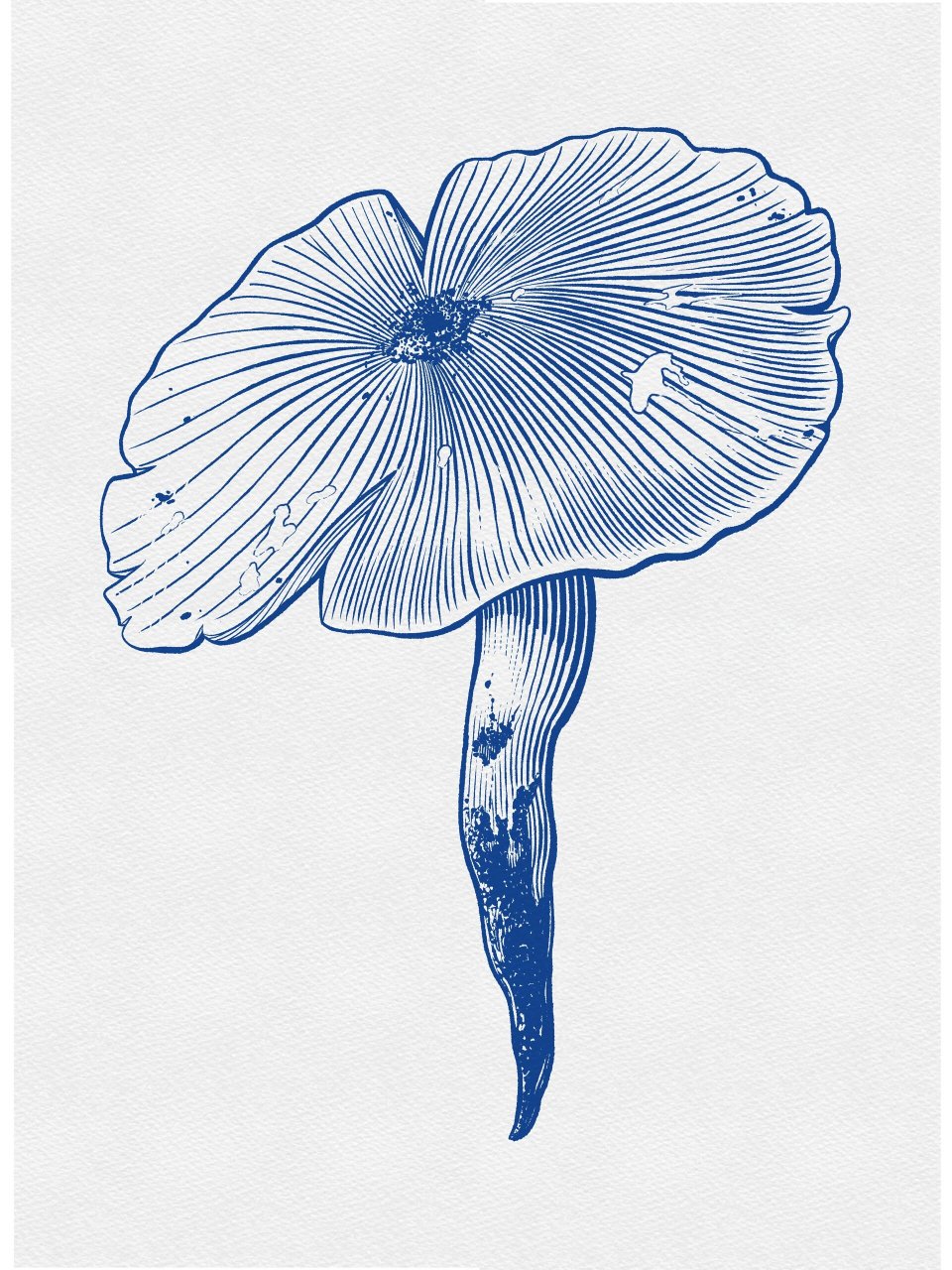 画画的日常#  #线描# #云南蘑菇# #绘画# 92参考 提供的图片素材