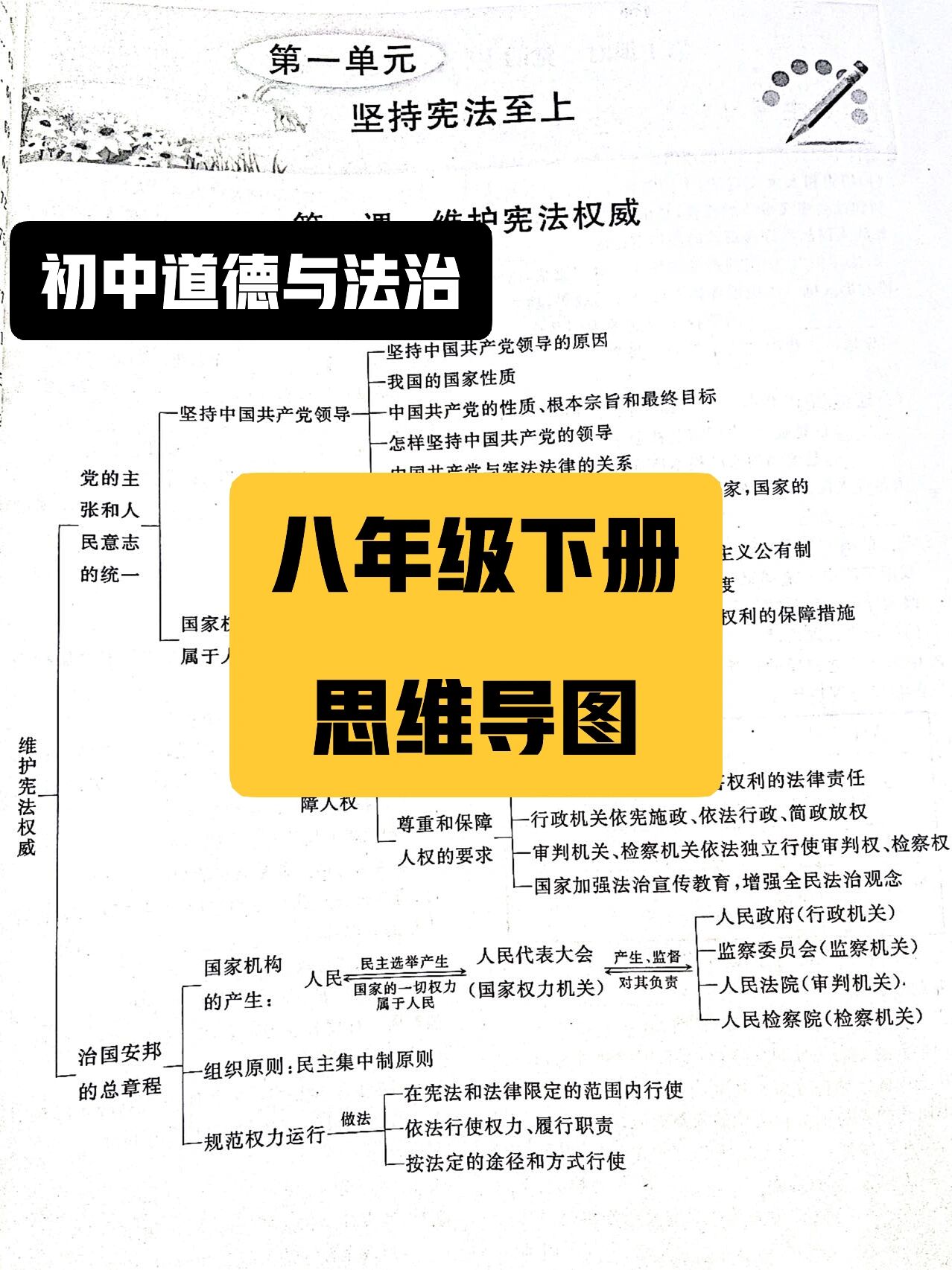 八年级知识点树状图(法治篇)的简单介绍 八年级知识点树状图(法治篇)的简单介绍