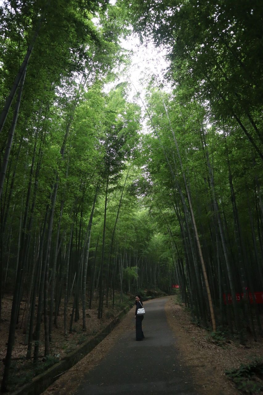 长沙乌山风景区图片