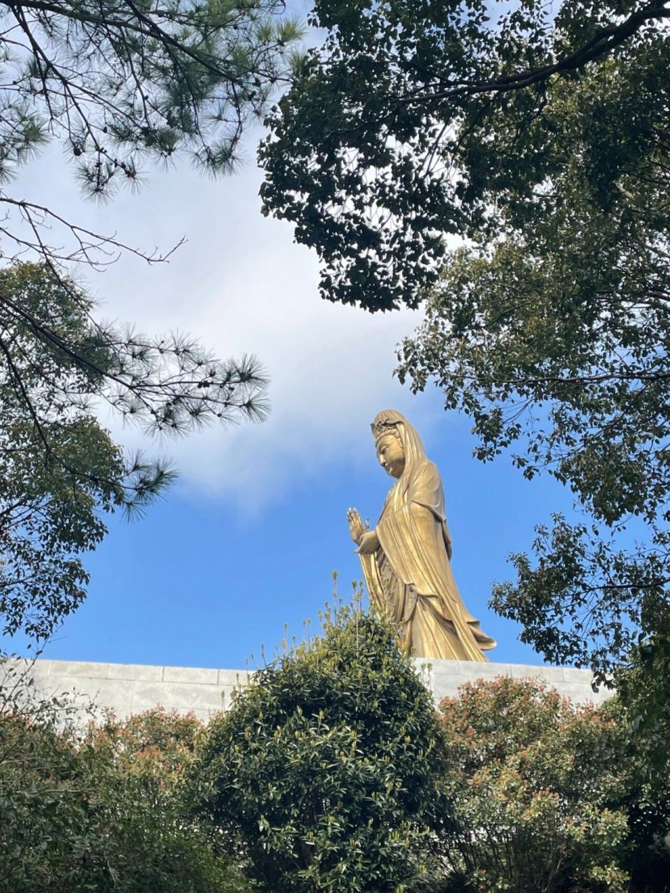普陀山旅游攻略99 来了就好 越来越好 门票99 线下:298元 我们是