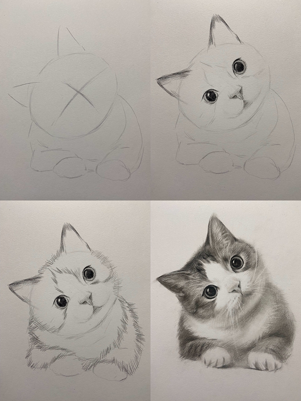 可爱猫咪绘画步骤图! 圆滚滚的小脑袋真的太可爱了!