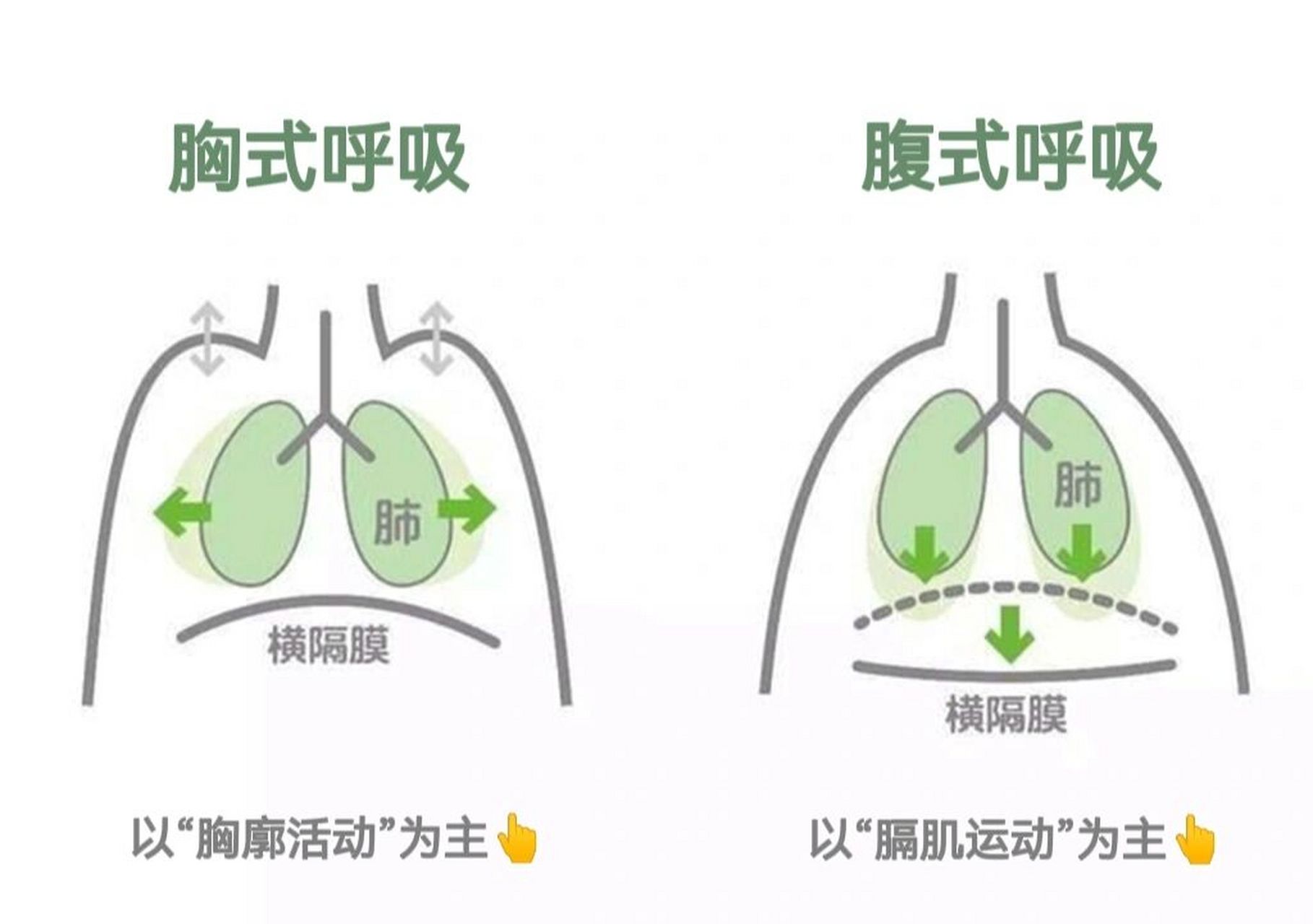 胸式呼吸方法图片