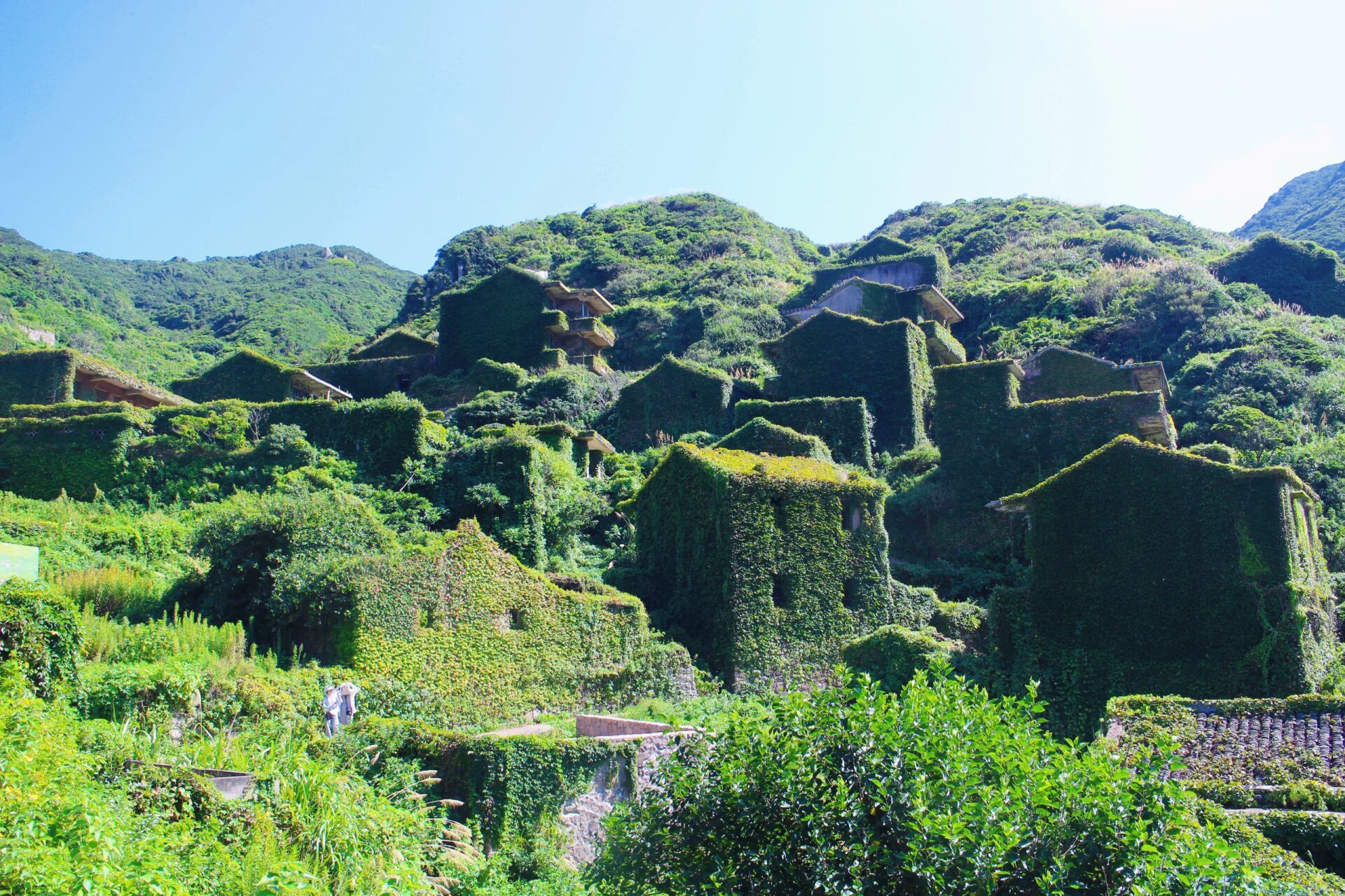 枸杞岛无人村闹鬼图片