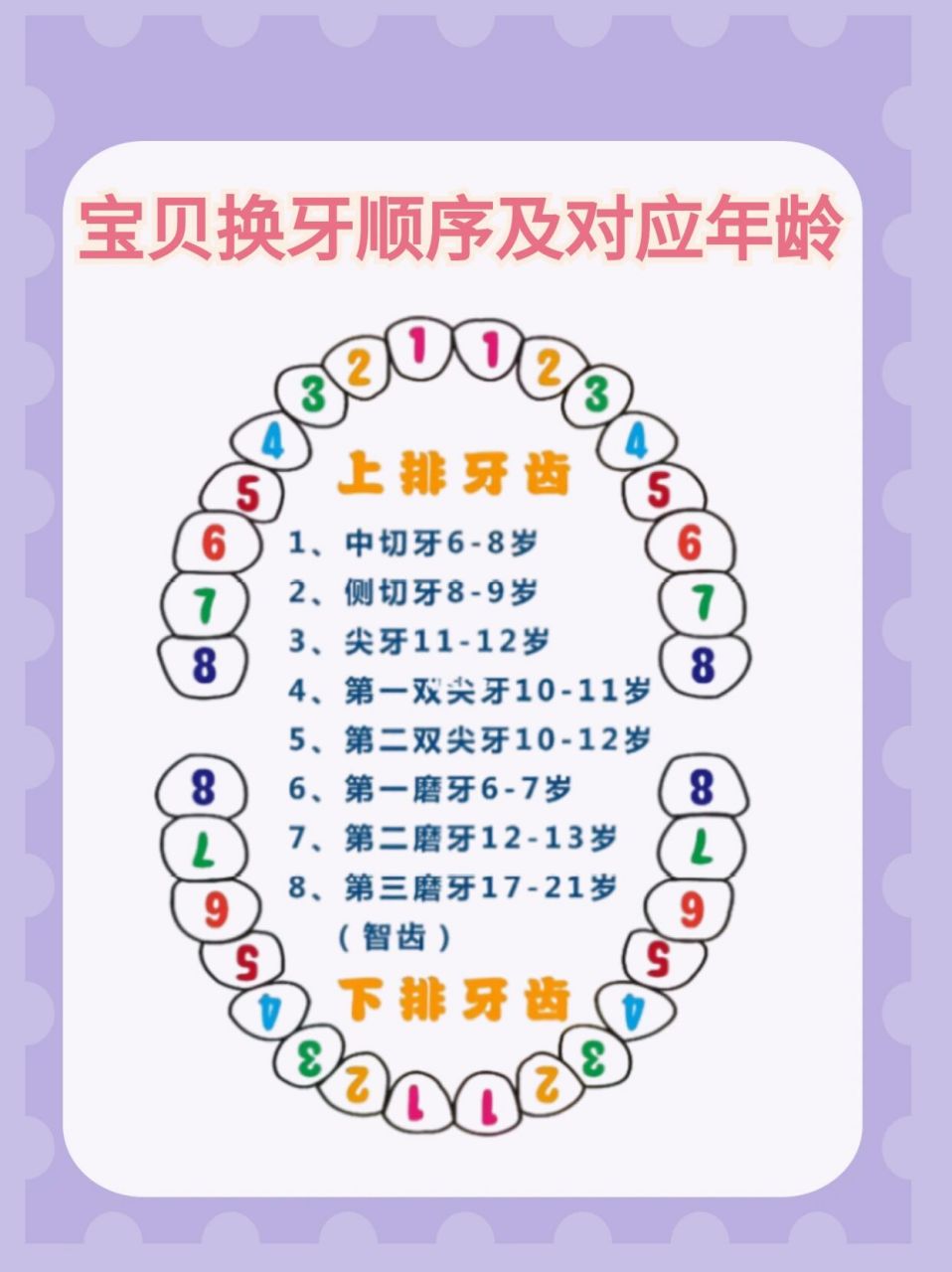 07人的一生中都要长两次牙齿