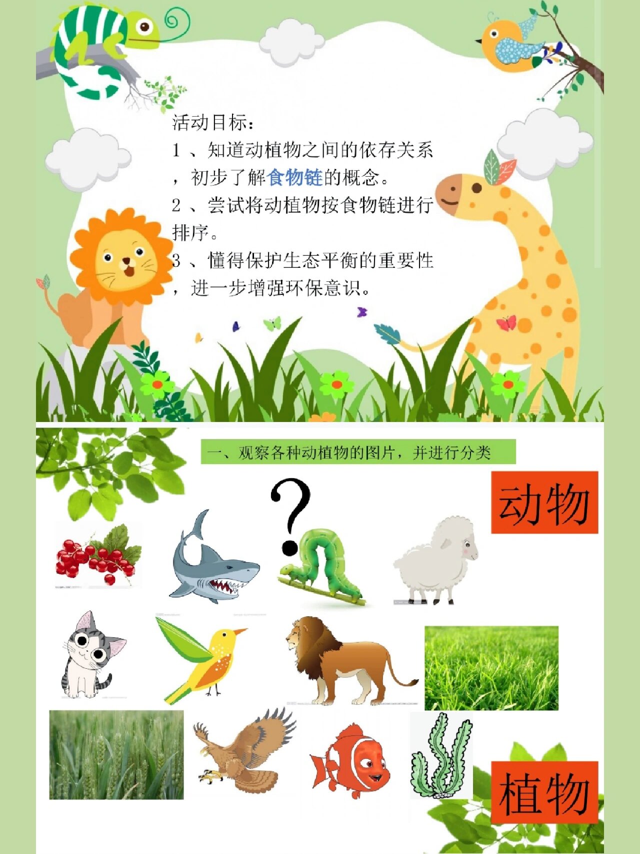 幼儿园公开课《食物链》,幼师必备 幼儿园公开课《植物链》,ppt加教案