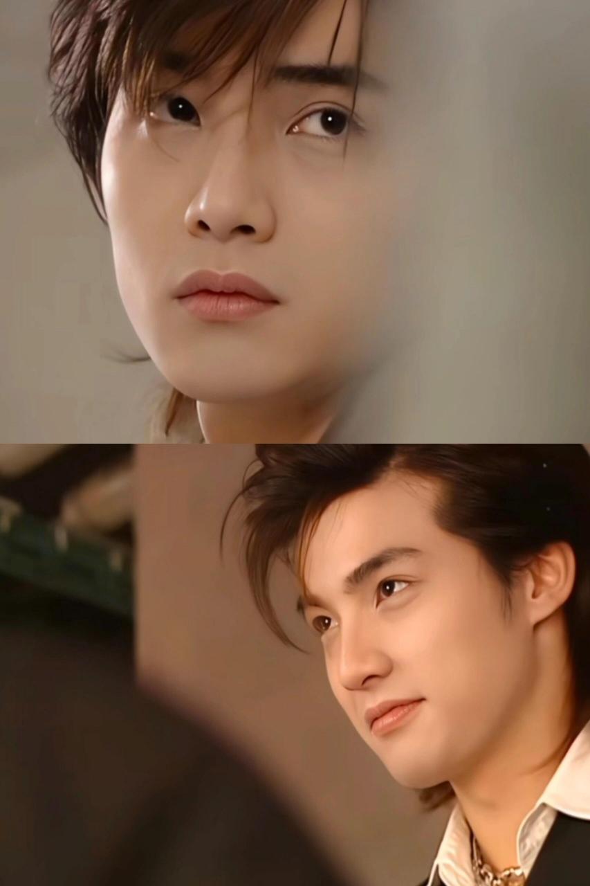 时隔快二十年又看一遍,还是被迷的五迷三道的,年轻时期的贺军翔涨是