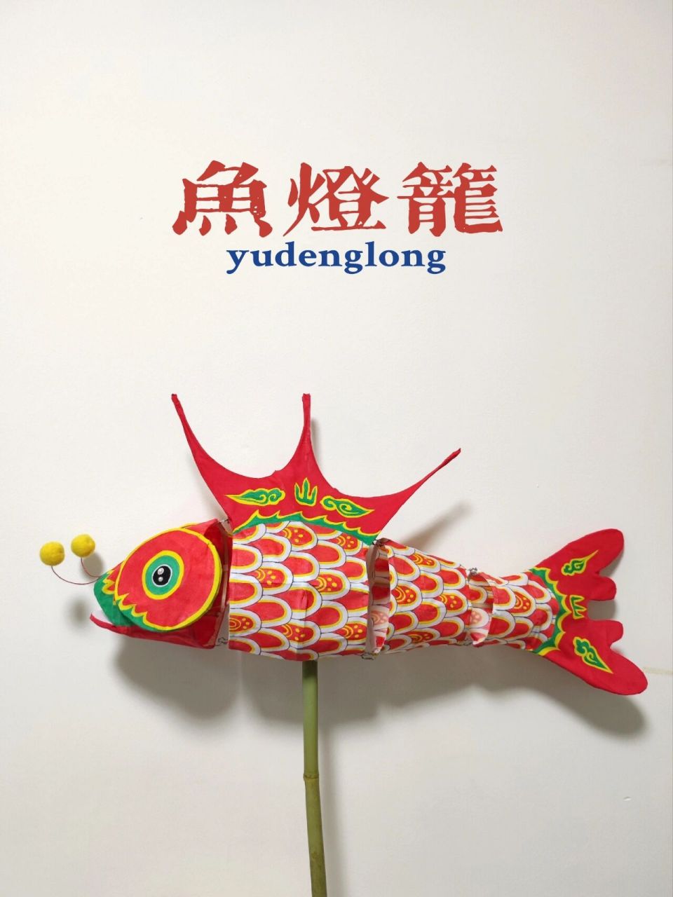 分享一下我的第一只鱼灯笼制作过程78 买的68cm鱼灯材料包,又根据