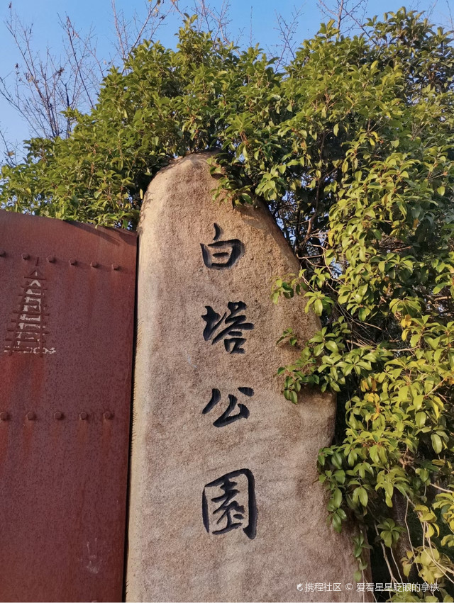 杭州白塔公园|穿过樱花雨,来白塔公园搭开往春天的列车
