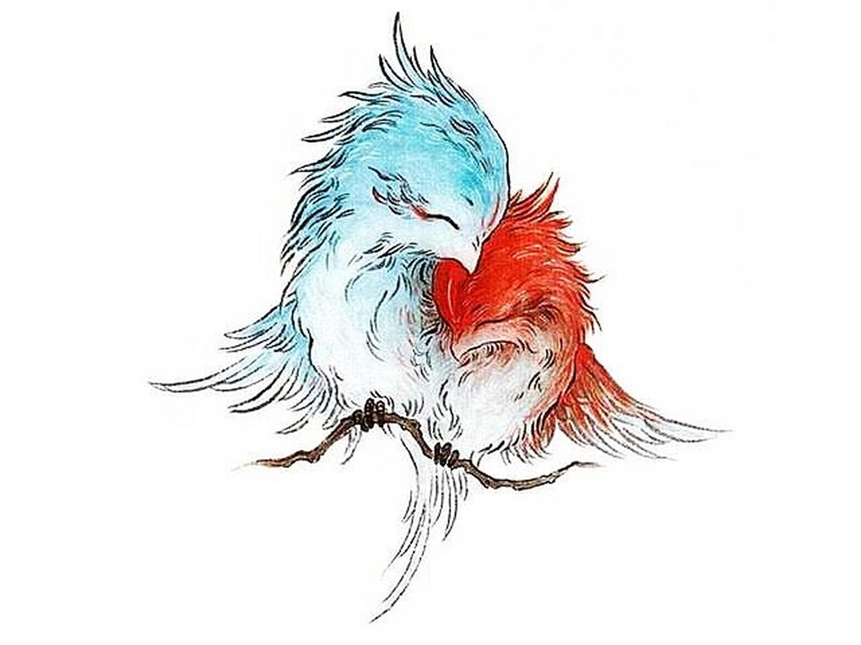 山海经》异兽之蛮蛮 92原文:有鸟焉,其状如凫,而一翼一目,相得乃飞