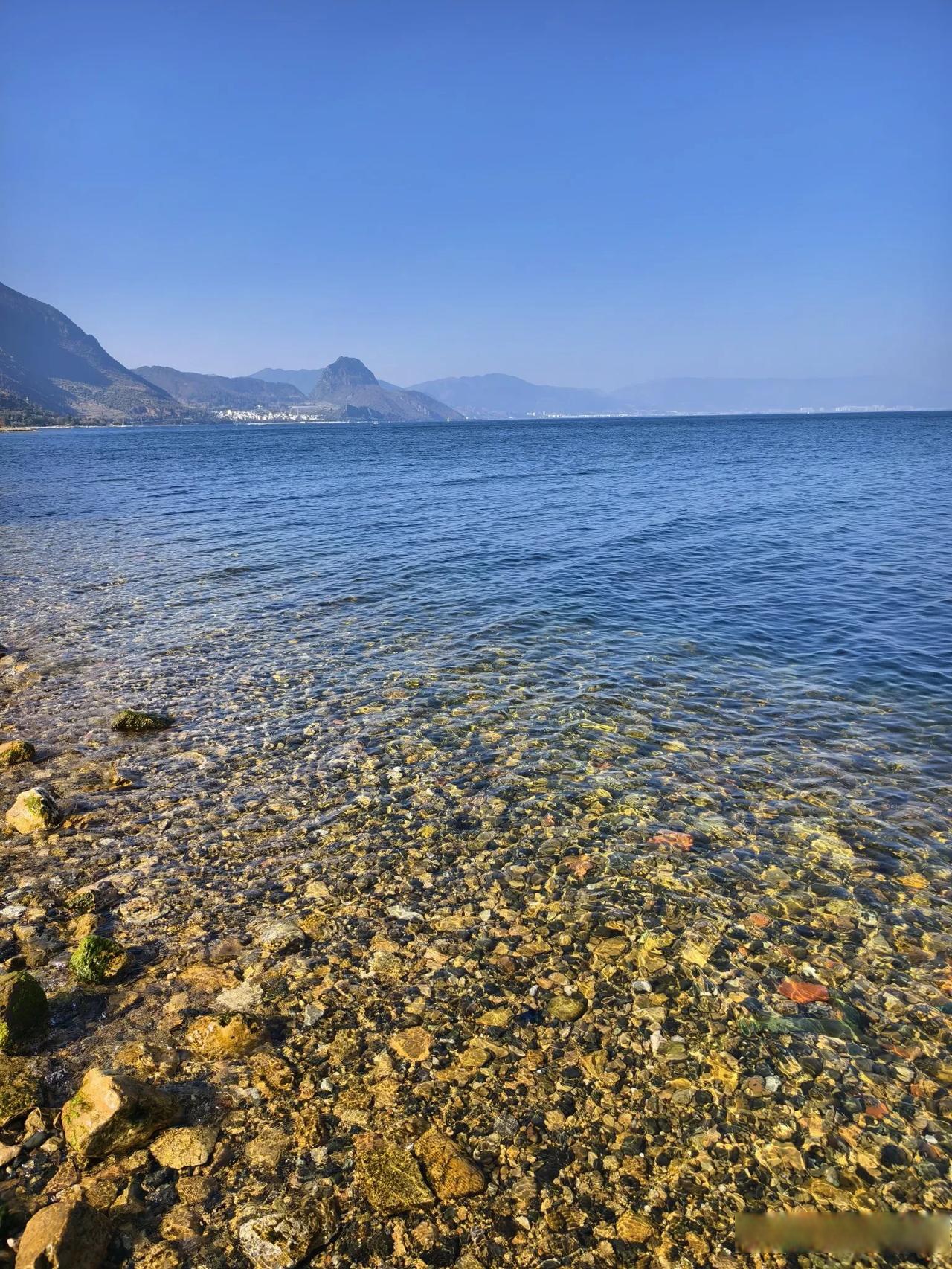 云南最干净的湖泊玉溪澄江抚仙湖湖水清澈可以直接饮用