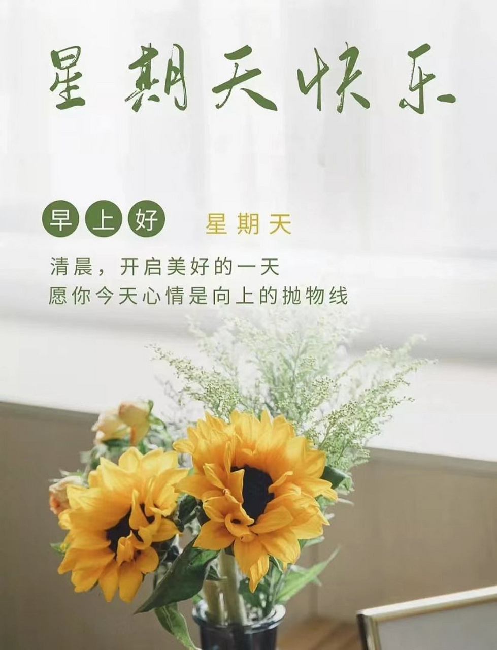 早安# 周日早安!