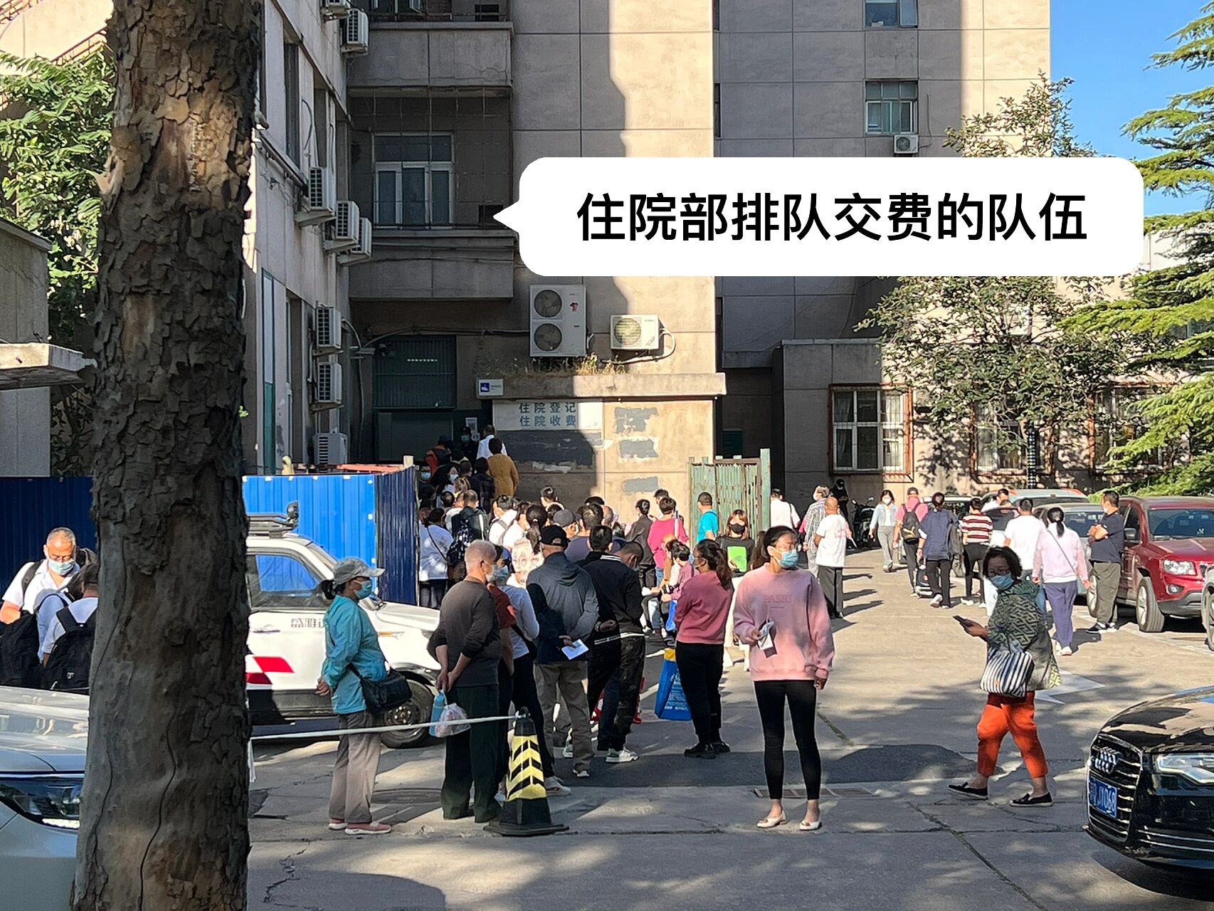 包含中国医学科学院肿瘤医院