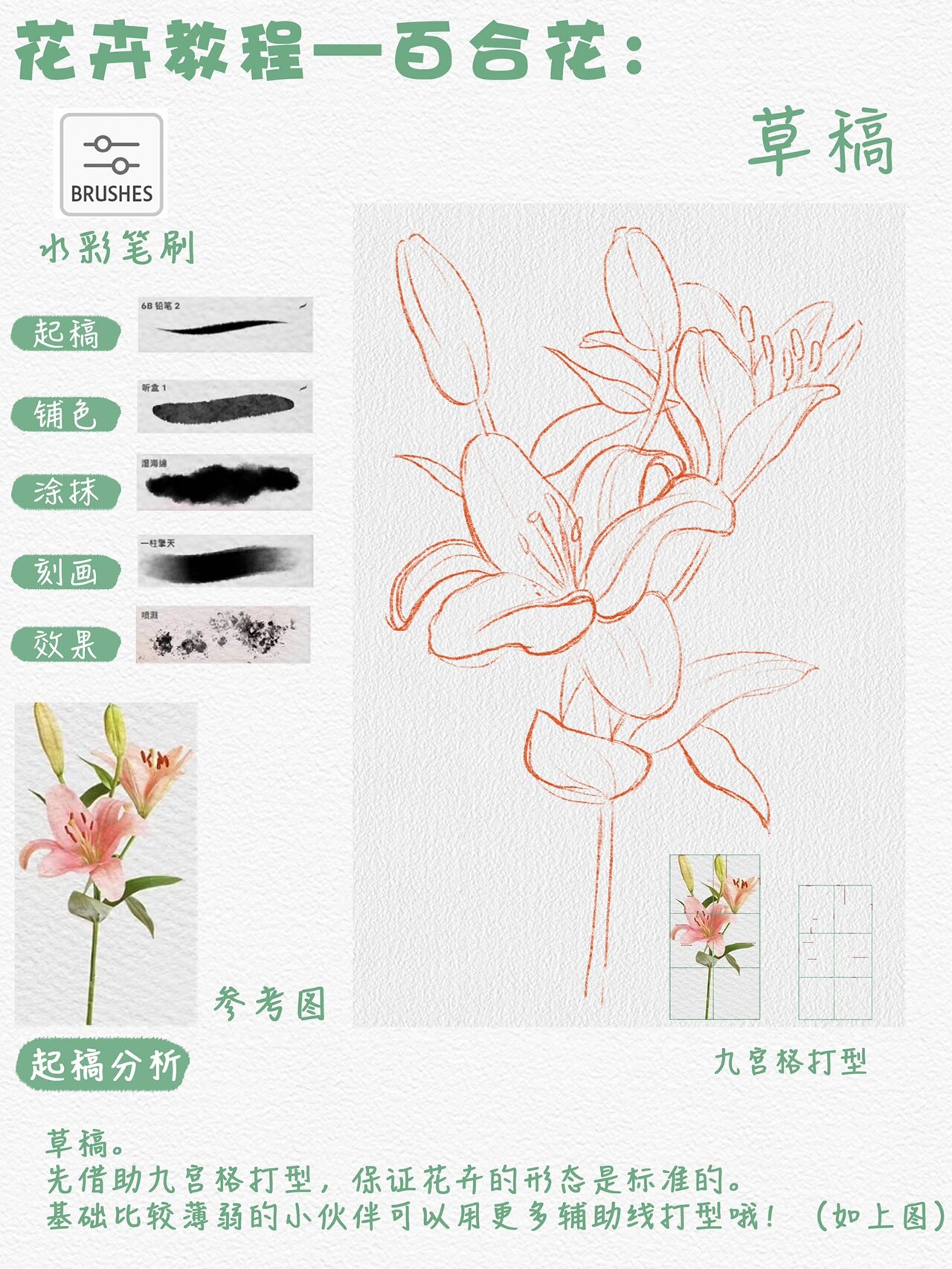 水彩入门|百合花|花卉篇保姆级绘画教程