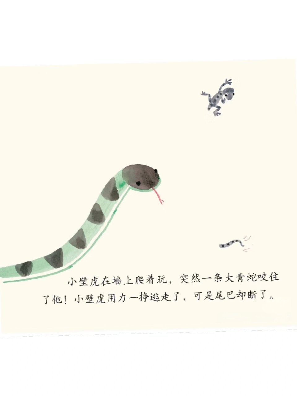 绘本6《借尾巴》小壁虎借尾巴 小壁虎在故事中展现了一种好奇和探索的