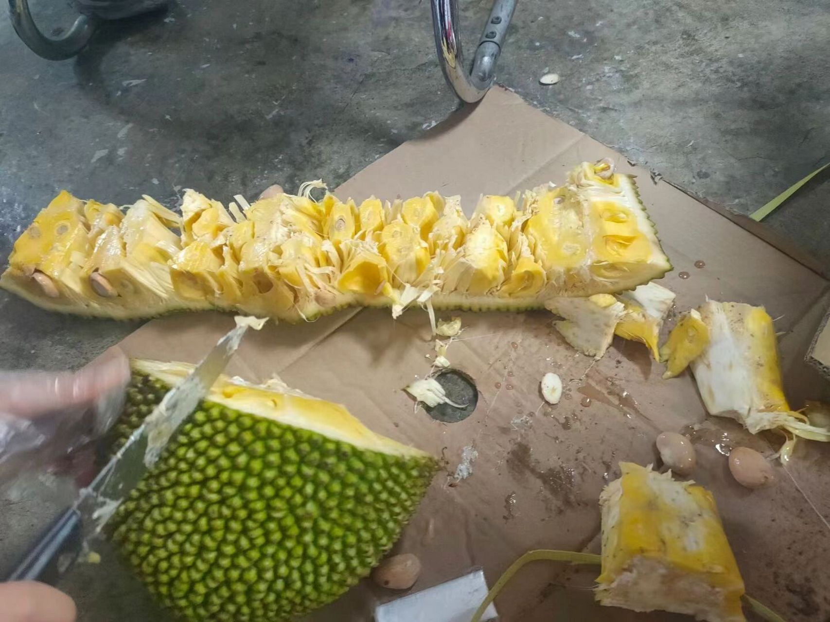 海南菠萝蜜干湿包区别 去了海南才知道海南菠萝蜜是有两个品种的:干包