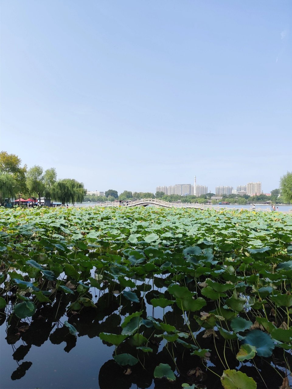 大明湖湖心岛-历下亭 南岸稼轩码头乘船,北岸铁公祠,10元每人,小朋友
