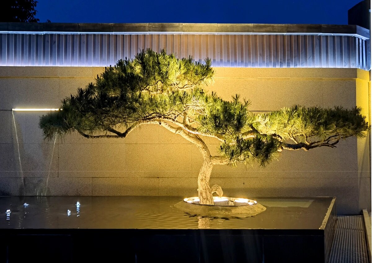 树上的绚丽灯光,夜晚的地标照树灯