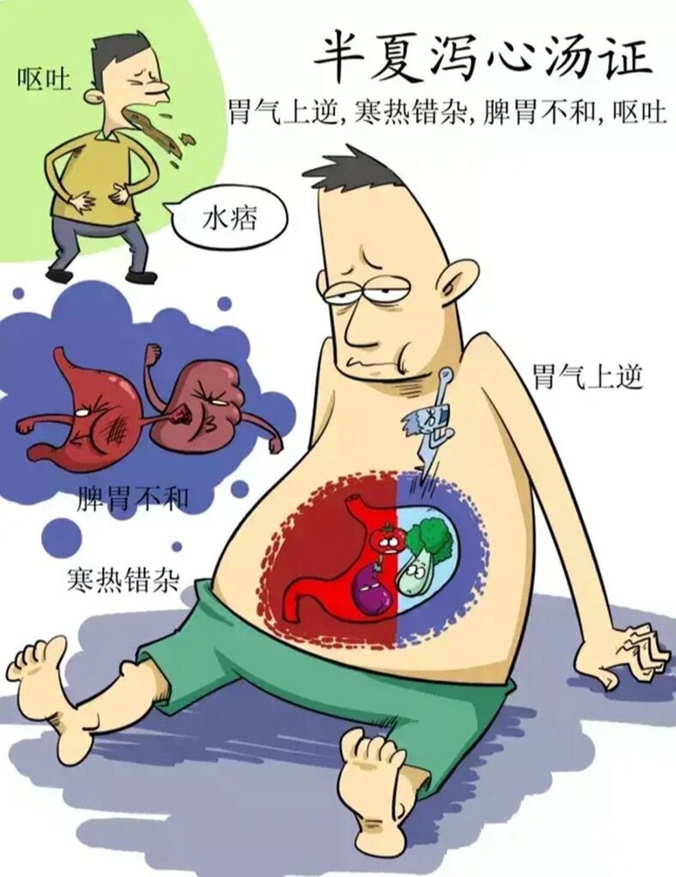 漫画之《伤寒杂病论》十 73半夏泻心汤证 半夏泻心汤,中医方剂名