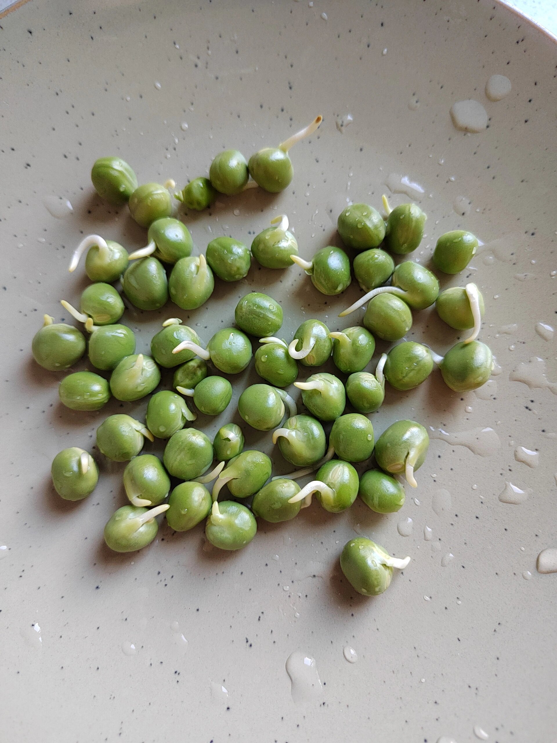 准备煮汤的青豆居然发芽了,还能吃吗?