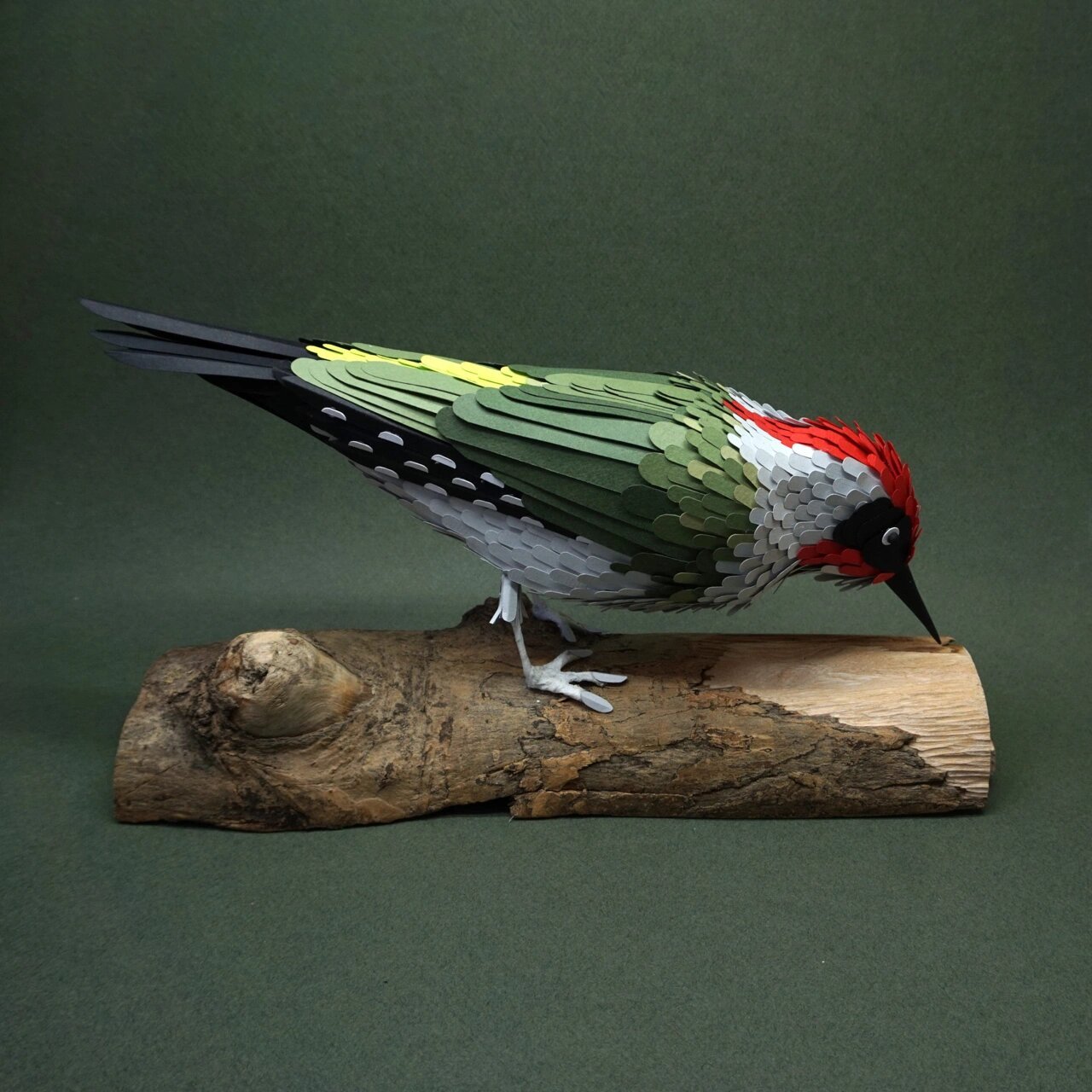 纸艺|立体纸雕 94这只鸟像真的一样6015 设计师克claire muth