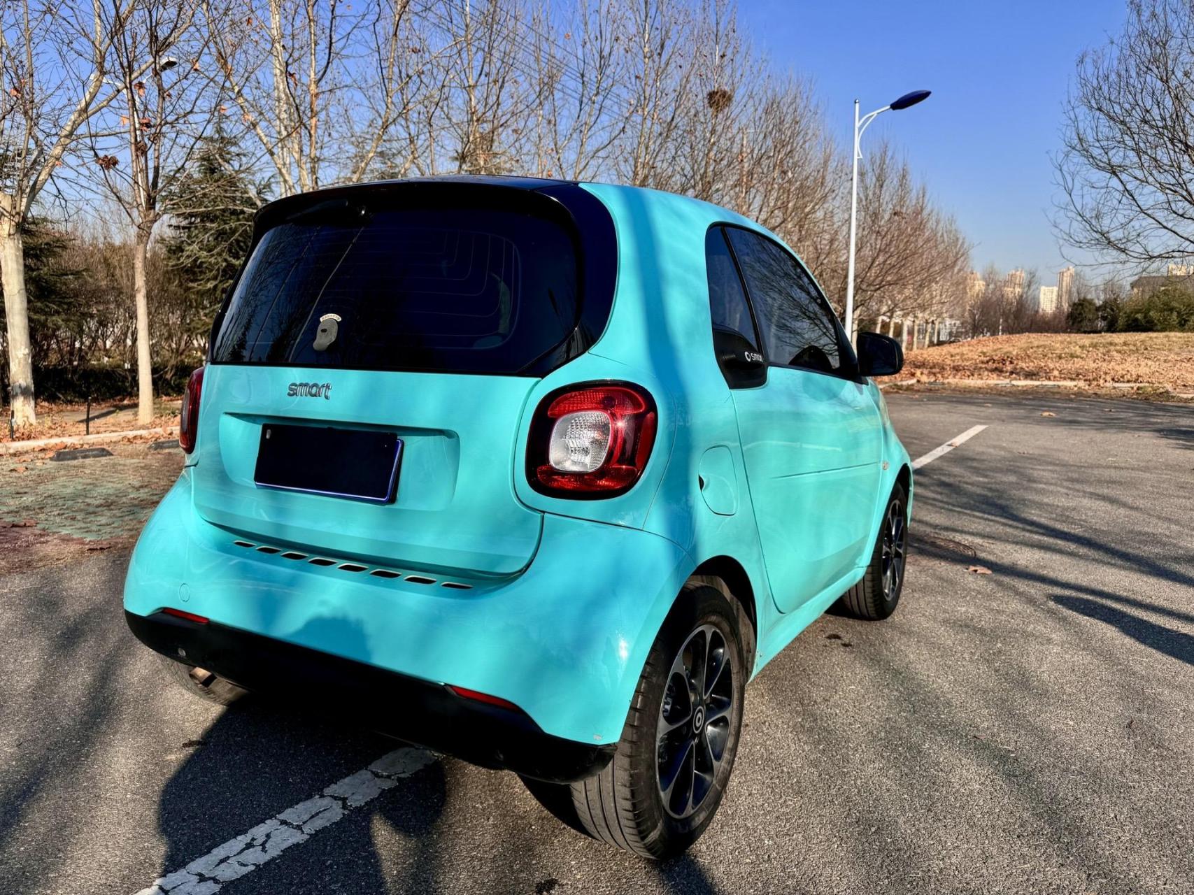 16年奔驰smart 两门版 安全行驶6.6万公里 原版车况