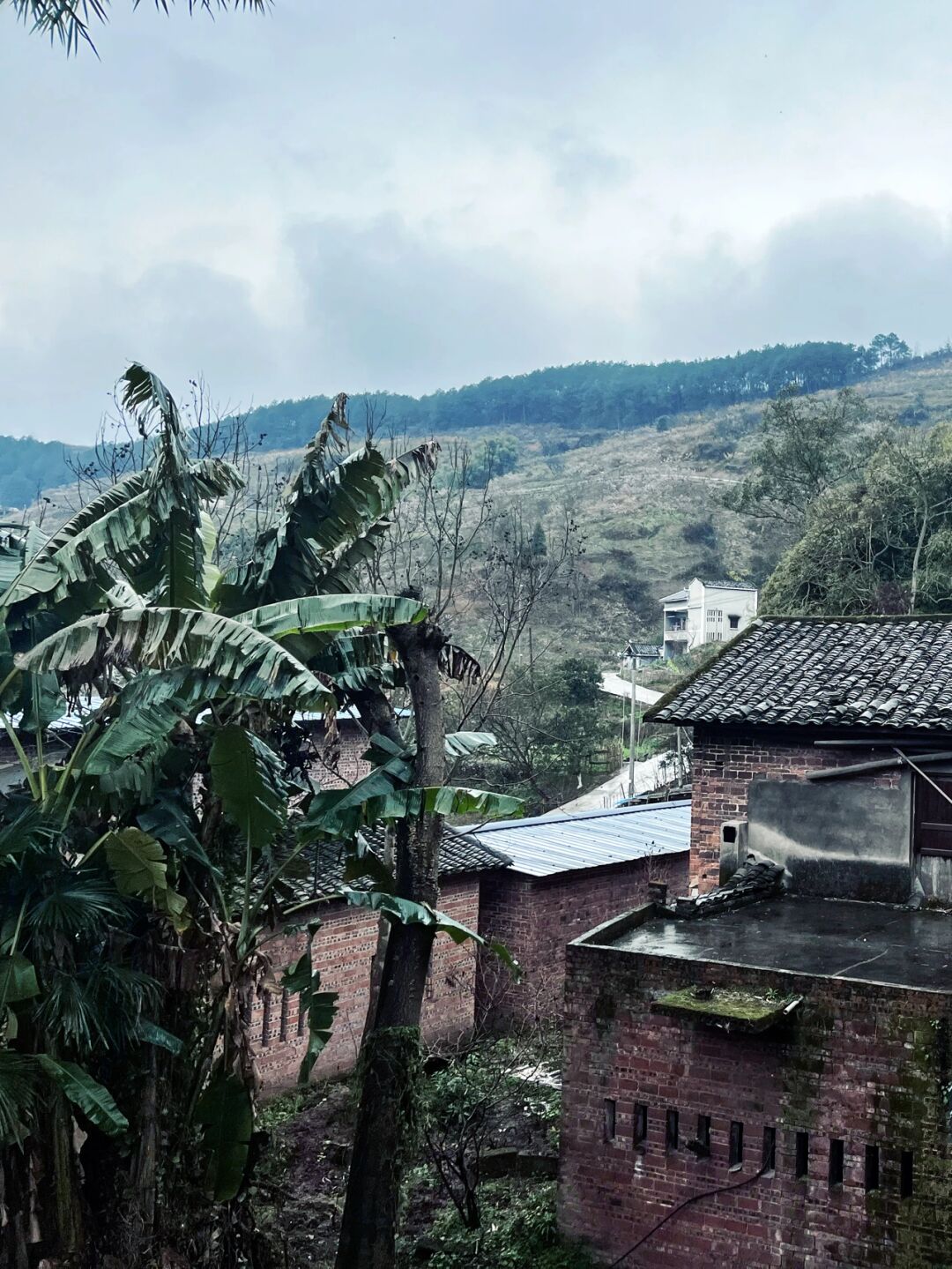 樱桃花 92八塘镇,隶属于重庆市璧山区,地处璧山区最北端,东邻北碚区