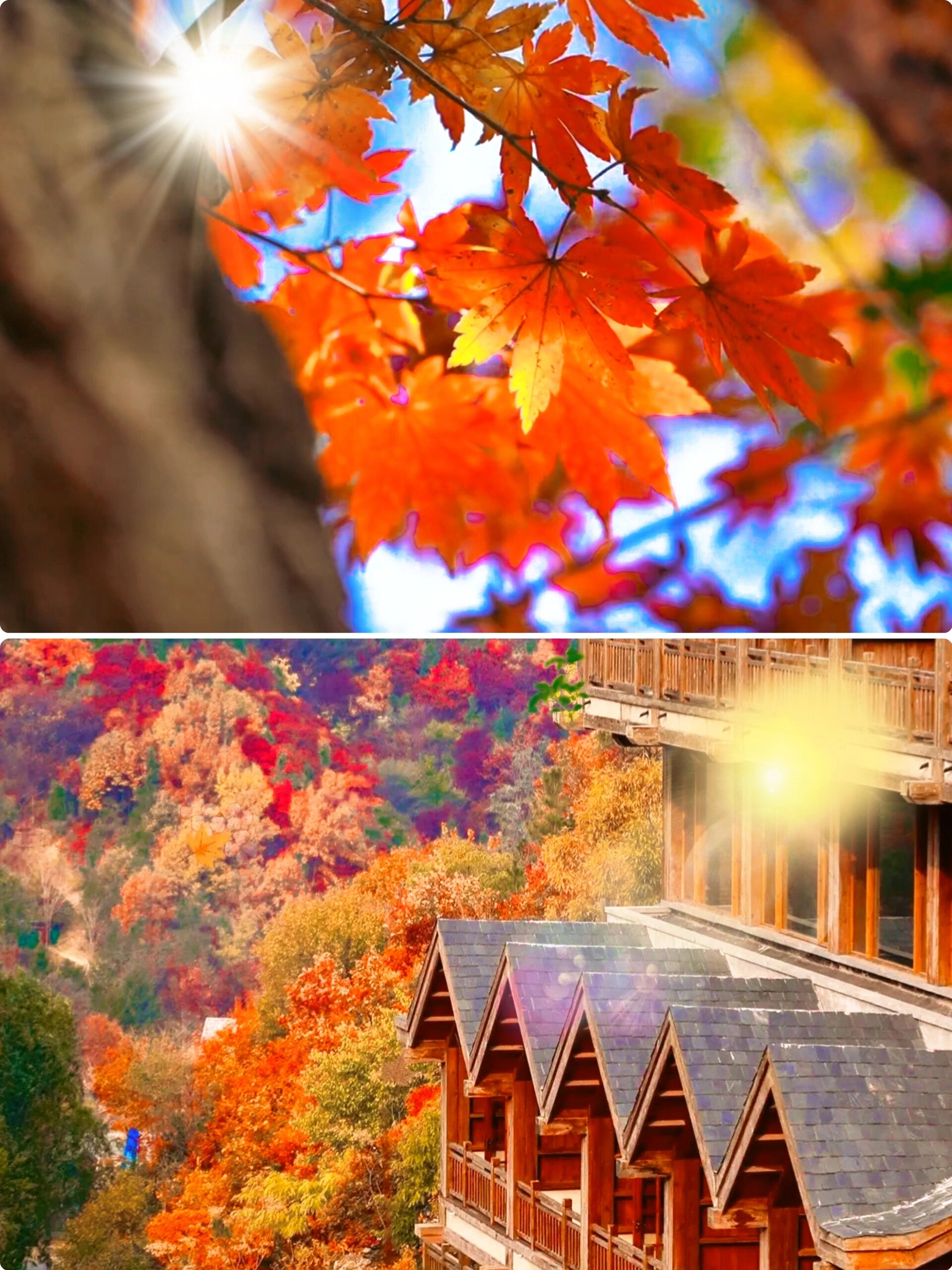 济南秋季周边游首选九如山,相比较红叶谷,我还是比较钟意九如山的风景